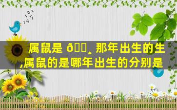 属鼠是 🕸 那年出生的生,属鼠的是哪年出生的分别是